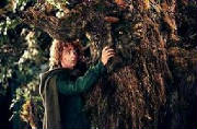 pippin.treebeard.ttt.jpg